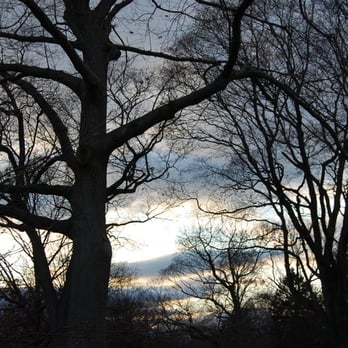 Mount Auburn Cemetery - Brink of winter. - Funeral Services & Cemeteries Near Me - Cambridge, Massachusetts Mount Auburn Cemetery - Brink of winter. - Funeral Services & Cemeteries Near Me - Cambridge, Massachusetts