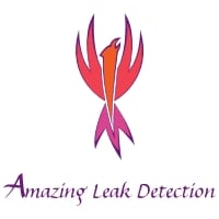 Slide of Amazing Leak Detection