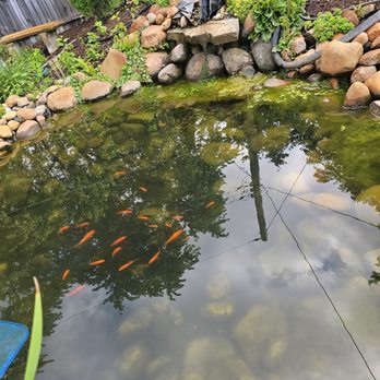 J & J Landscaping - Landscaping Near Me J & J Landscaping - Landscaping Near Me