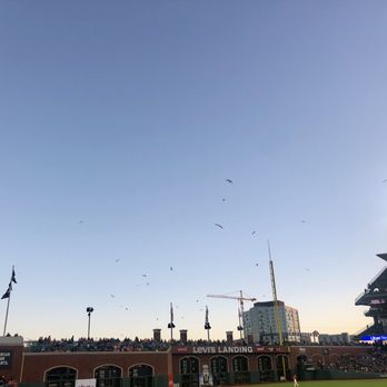 Oracle Park - View from the bleachers - Stadiums & Arenas Near Me - San Francisco, California Oracle Park - View from the bleachers - Stadiums & Arenas Near Me - San Francisco, California
