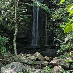 Bear Creek Preserve - Natural Lands - Small falls on black trail