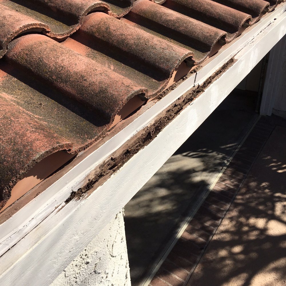 They primed and left the front lower fascia board over the garage, even though it's rotted through and crumbles to the touch They primed and left the front lower fascia board over the garage, even though it's rotted through and crumbles to the touch