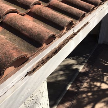 Top Termite - They primed and left the front lower fascia board over the garage, even though it's rotted through and crumbles to the touch - Pest Control Near Me - Los Angeles, California Top Termite - They primed and left the front lower fascia board over the garage, even though it's rotted through and crumbles to the touch - Pest Control Near Me - Los Angeles, California