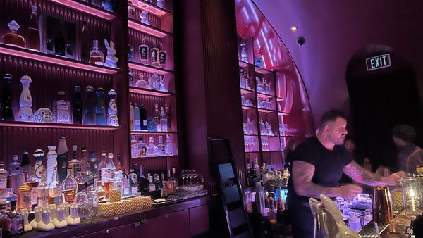 Wax Rabbit Speakeasy by null