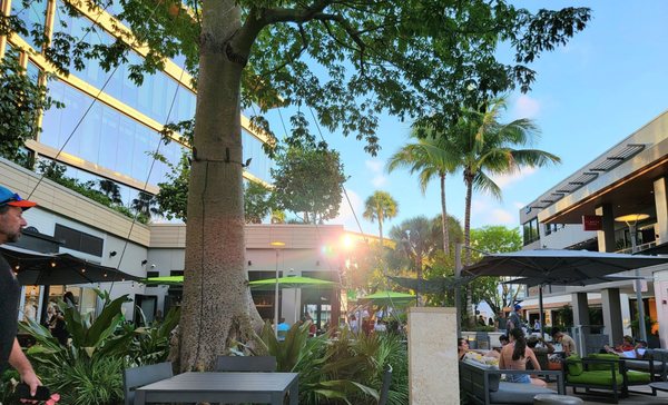 Mister O1 Extraordinary Pizza - Coconut Grove by null