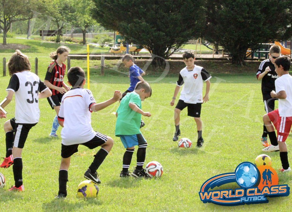 World Class Futbol Logo