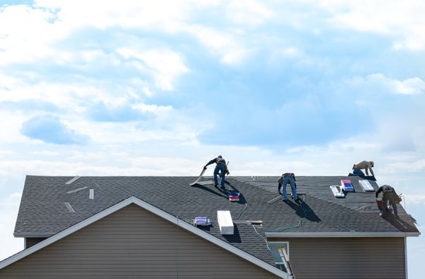 Wise Roofing HTX