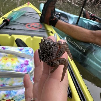 Keys Kayak - Little crabs - Rafting/Kayaking Near Me - Marathon, Florida