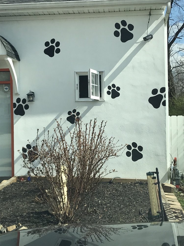 BROOKHAVEN VETERINARY HOSPITAL 12 Photos & 21 Reviews 101 E