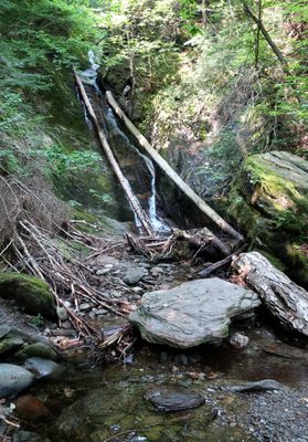 Moss Glen Falls by null