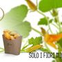 Photo of Frixium