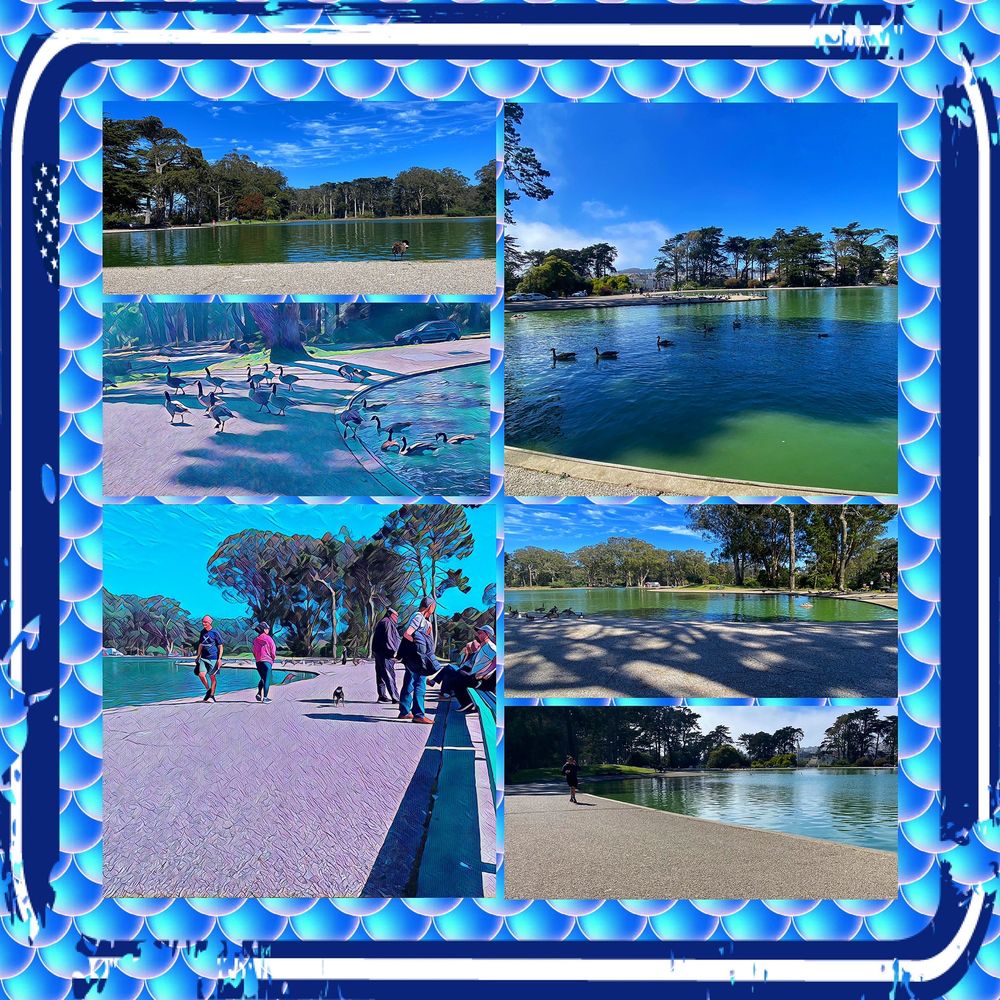 Montage of images from Spreckels Lake Montage of images from Spreckels Lake