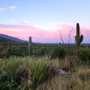 Tanque Verde Guest Ranch - Hotels Near Me - Tucson, Arizona