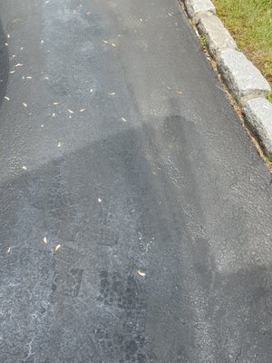 COSTELLO ED & SONS PAVING - Updated December 2025 - 13 Photos - 21