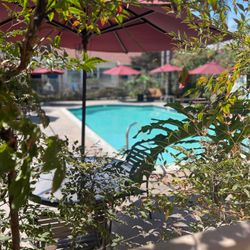 Old Town Inn - Outdoor pool area