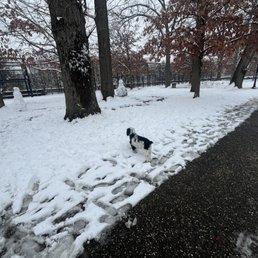 Love this park, from around 5-7 there is a big group of dogs and owners that hang out