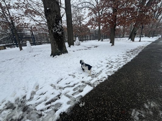 Meridian Hill Park by null