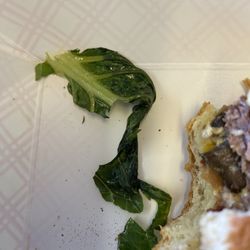 George's Lounge - Wilted lettuce