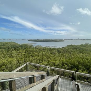 Boca Ciega Millennium Park - View from observation deck - Parks Near Me - Seminole, Florida