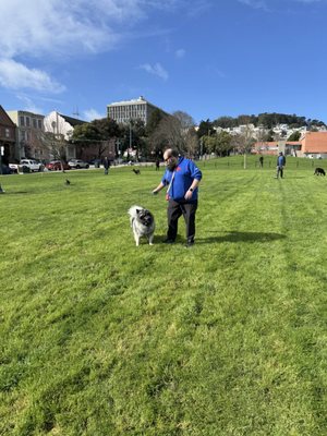 Duboce Park by null