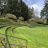 Washington Park Amphitheater gift card