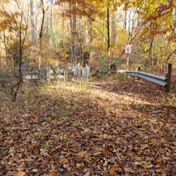Reese Park