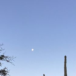 Gateway Desert Awareness Park