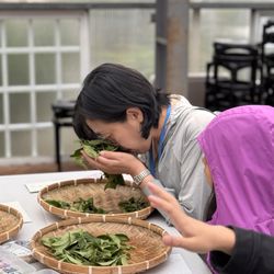 Chinese Cultural Learning Center