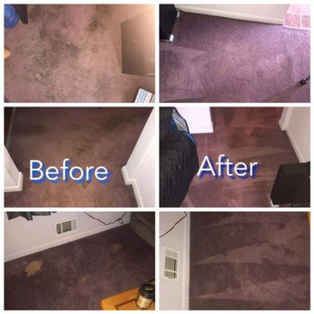 Carpet beautifier - Carpet Cleaning Near Me Carpet beautifier - Carpet Cleaning Near Me