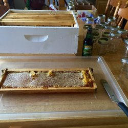 North Bosque Honey - New Honey season