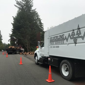 Silverline Tree Service - Tree Services Near Me Silverline Tree Service - Tree Services Near Me