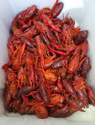 Kasian Kitchen Crawfish & Seafood by null