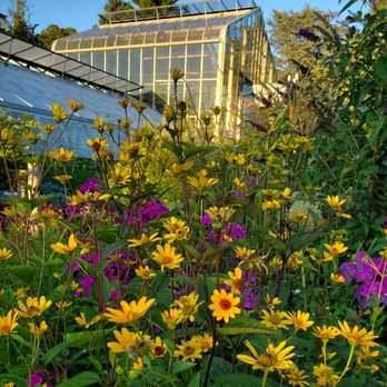 Wave Hill Public Garden - Abundant pollinators - 7/20/2025 - Venues & Event Spaces Near Me - Bronx, New York