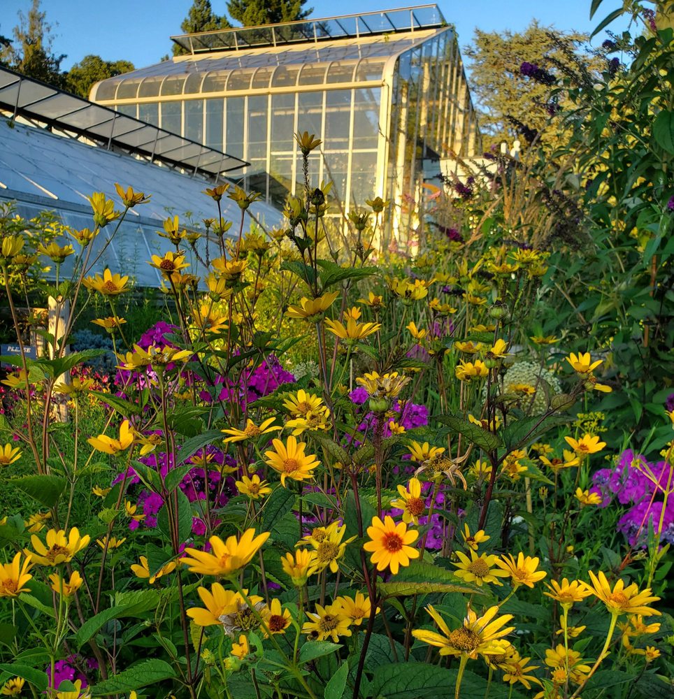 Social spots from Wave Hill Public Garden