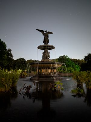 Bethesda Fountain by null