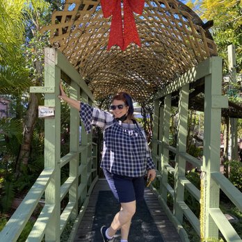 The Chattaway - My friend Wendy leads the way into the Chattaway oasis on New Year's day, 2021. - American Near Me - Saint Petersburg, Florida The Chattaway - My friend Wendy leads the way into the Chattaway oasis on New Year's day, 2021. - American Near Me - Saint Petersburg, Florida