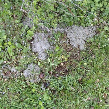 Bravo Masonry - The concrete in my yard - Masonry/Concrete Near Me - Phillipsburg, New Jersey Bravo Masonry - The concrete in my yard - Masonry/Concrete Near Me - Phillipsburg, New Jersey