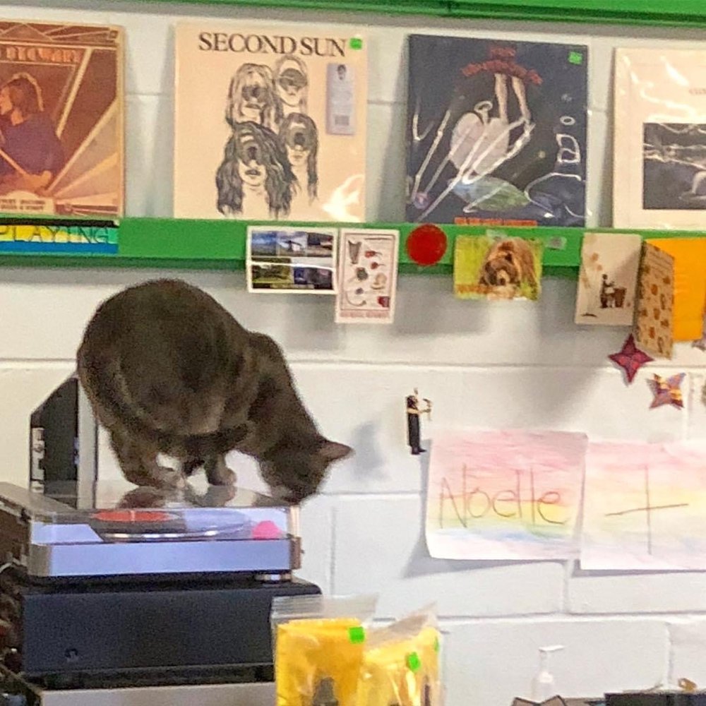 Assumption Records Logo