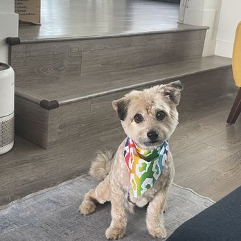 MiniPaw Spa - Pet Groomers Near Me - Reseda , California MiniPaw Spa - Pet Groomers Near Me - Reseda , California