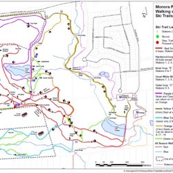 Mono Nordic Ski Club - Trails available