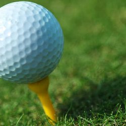 New Madrid Country Club - Tee Off !
