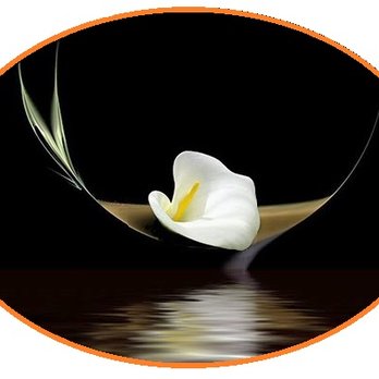 Valleyscapes Property Maintenance - a white calla flower in a circle - Property Management Near Me - Youngstown, Ohio