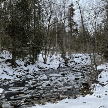 Hilton Falls Conservation Area - Parks Near Me - Milton, Ontario