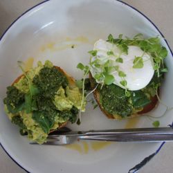 Paddock - Smashed avocado, fresh basil pesto and poached egg ($14.00 NZD)