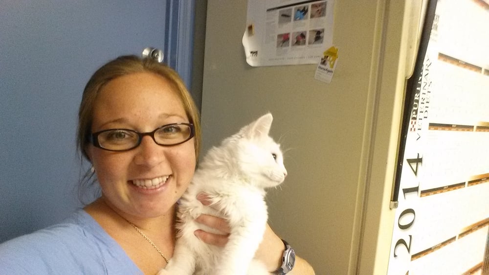 HOME HEALING ANIMAL CLINIC Updated August 2024 Orlando, Florida