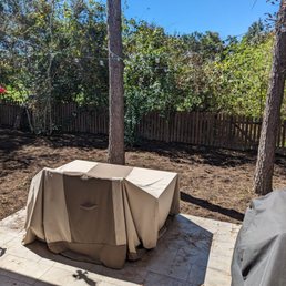 Mulched backyard