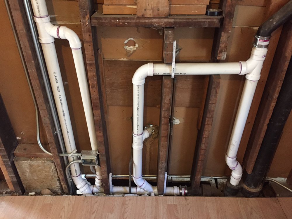 Slide of Master Rooter