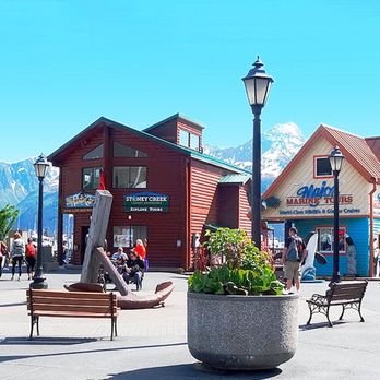 SewardCityTours - The Small Boat Harbor in Seward has multiple shops and tour operators. - Tours Near Me SewardCityTours - The Small Boat Harbor in Seward has multiple shops and tour operators. - Tours Near Me