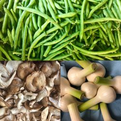 East Rivendell Farm - Our produce is fresh picked, local and chemical free.