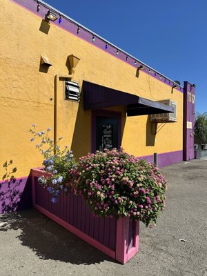 La Texanita Restaurant by null